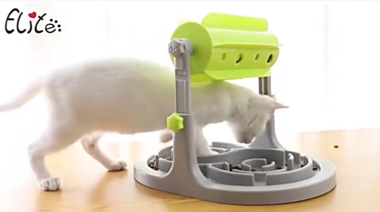 Interactive Slow Feeder Puzzle Bowl for Dogs & Cats