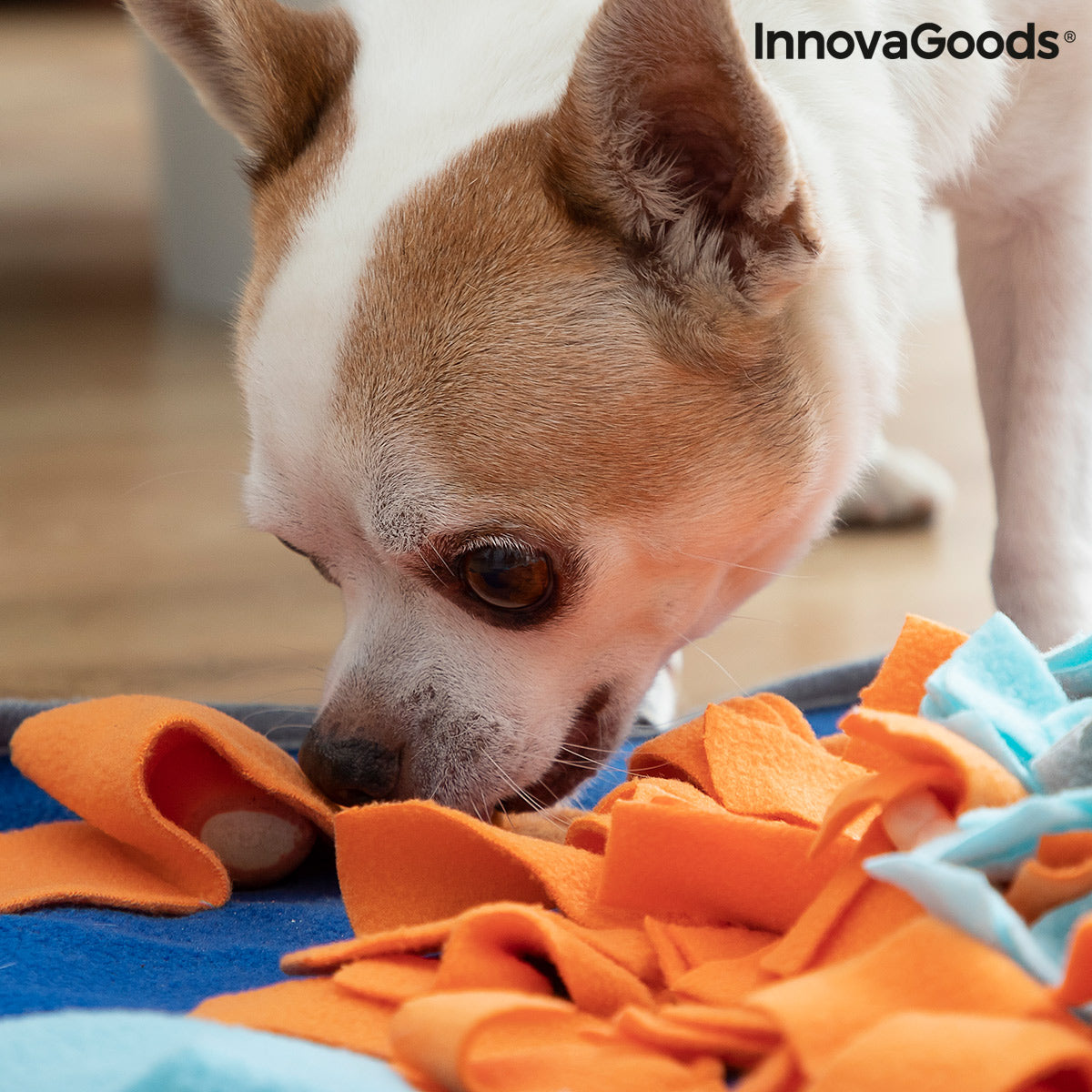 Pet Snuffle Sniffing Mat — Nose Work & Slow Feed Enrichment Toy