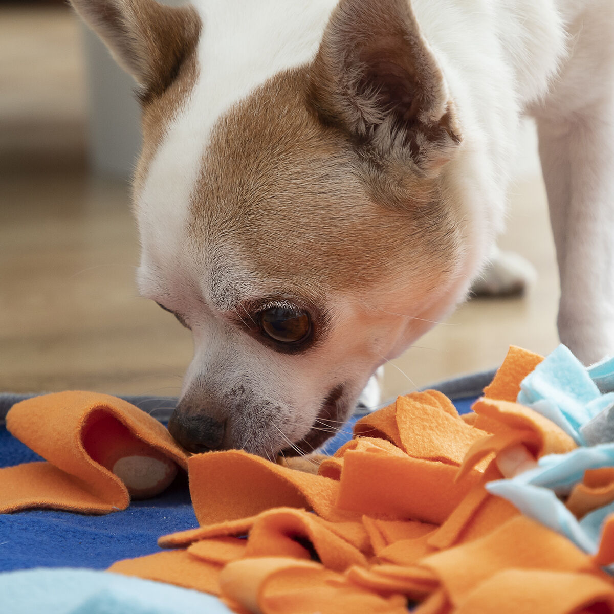 Pet Snuffle Sniffing Mat — Nose Work & Slow Feed Enrichment Toy
