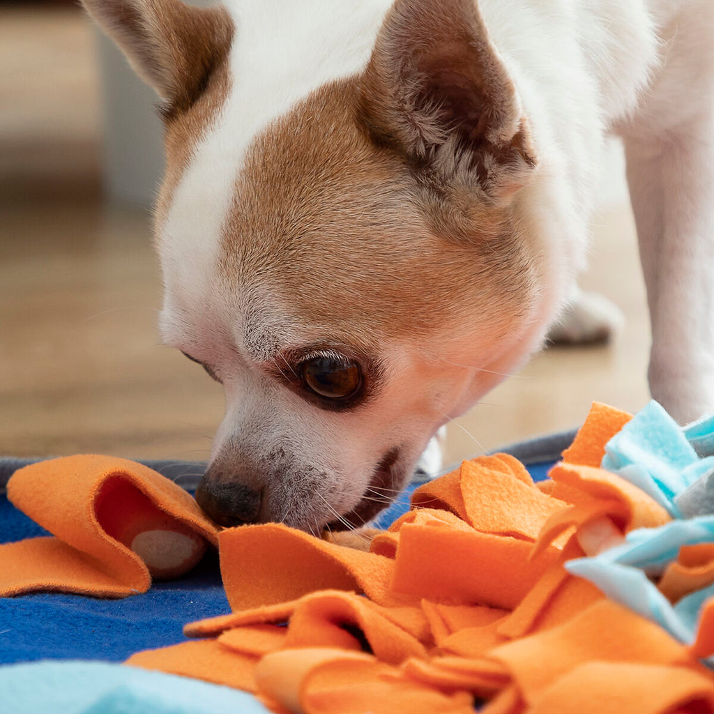 Pet Snuffle Sniffing Mat — Nose Work & Slow Feed Enrichment Toy