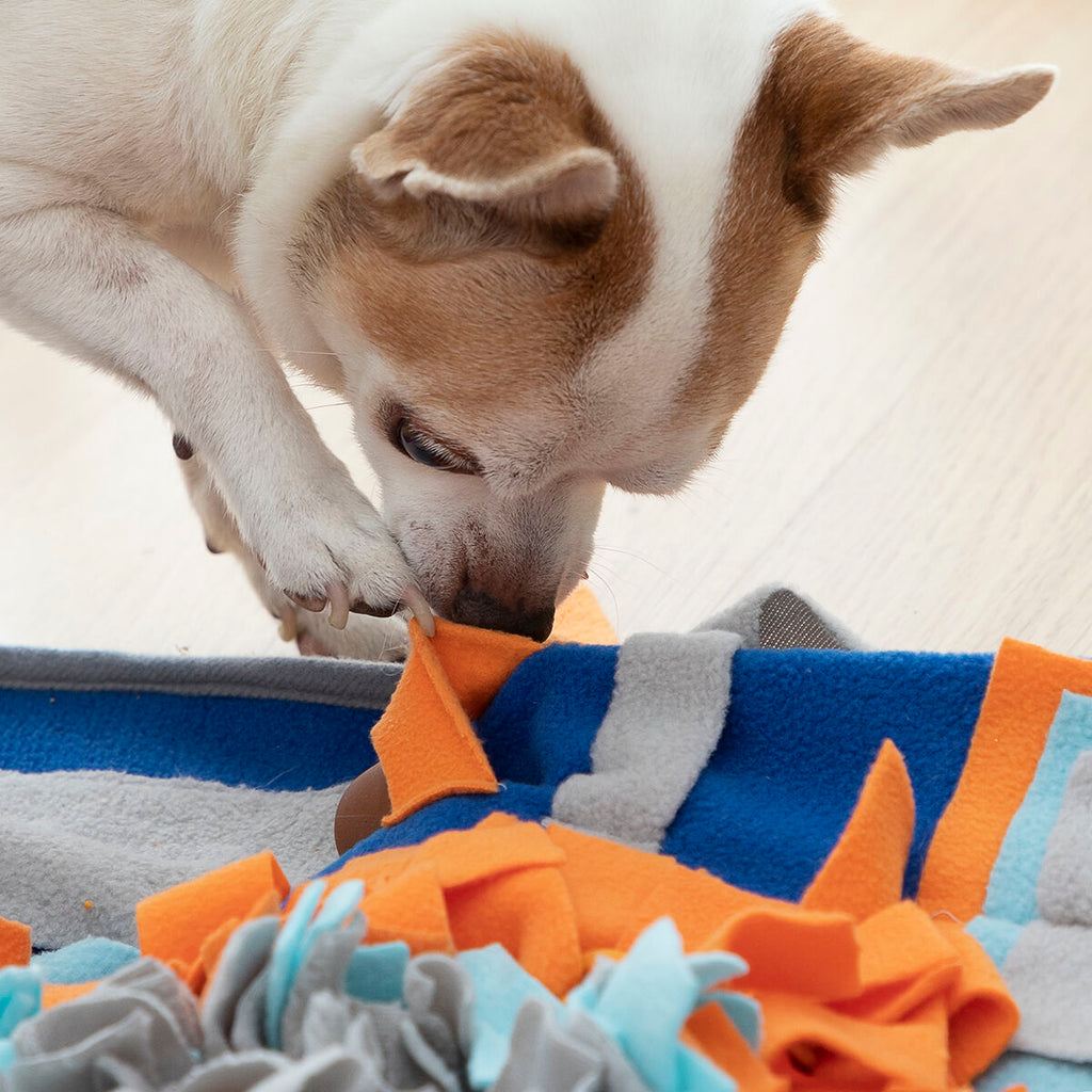 Pet Snuffle Sniffing Mat — Nose Work & Slow Feed Enrichment Toy